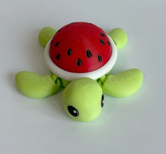 Watermelon Turtle (No keychain)